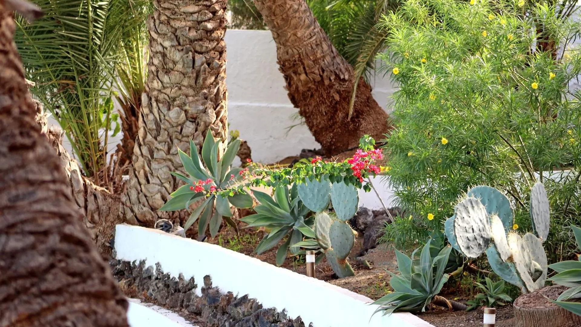 Resort Hotel Cortijo San Ignacio El Cortijo